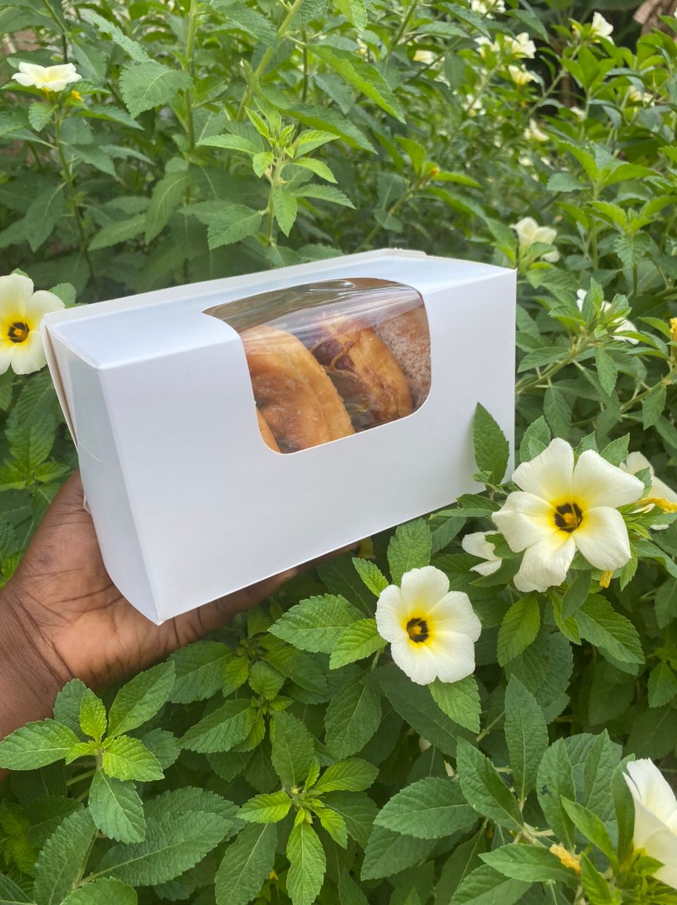 Box of 3 doughnut white (5 per pack) - DBW003