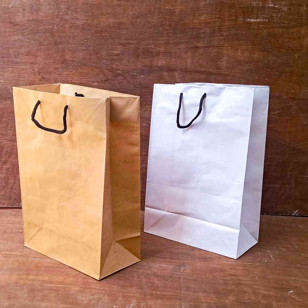 Medium Slim paper bag with Rope handle (Select Color) - MSRH128